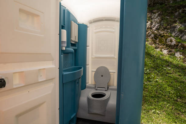 Best Affordable porta potty rental  in Vla Grove, IL
