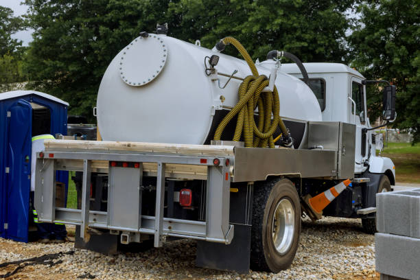 Best Affordable portable toilet rental  in Vla Grove, IL